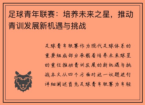 足球青年联赛：培养未来之星，推动青训发展新机遇与挑战