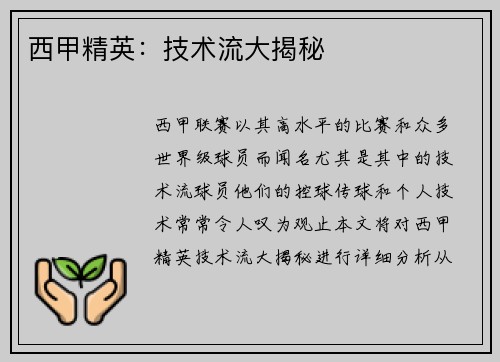 西甲精英：技术流大揭秘